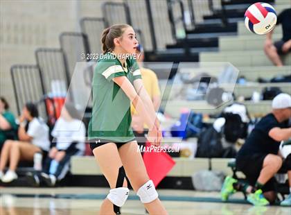 Thumbnail 1 in Ponderosa vs Bear Creek  photogallery.