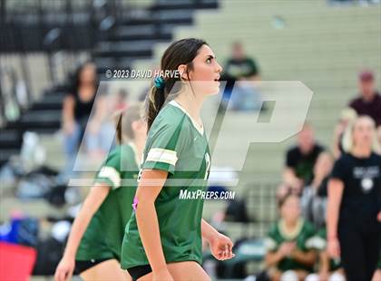 Thumbnail 1 in Ponderosa vs Bear Creek  photogallery.