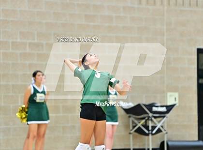 Thumbnail 1 in Ponderosa vs Bear Creek  photogallery.
