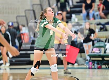 Thumbnail 2 in Ponderosa vs Bear Creek  photogallery.