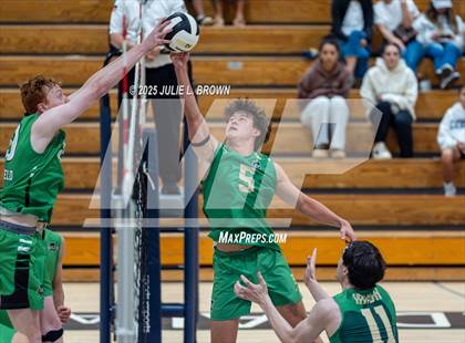 Thumbnail 2 in Westfield @ Cathedral photogallery.