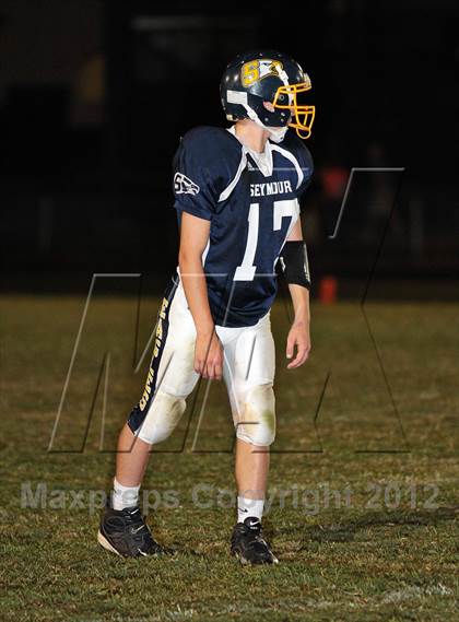 Thumbnail 1 in White County @ Seymour photogallery.