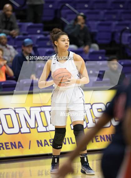 Thumbnail 3 in Summit vs. Brentwood Academy photogallery.