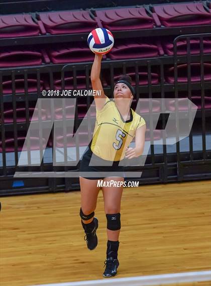 Thumbnail 3 in Brennan vs Steele (NEISD Volleyball Tournament) photogallery.