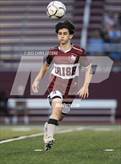 Photo from the gallery "Brighton @ Aquinas Institute"