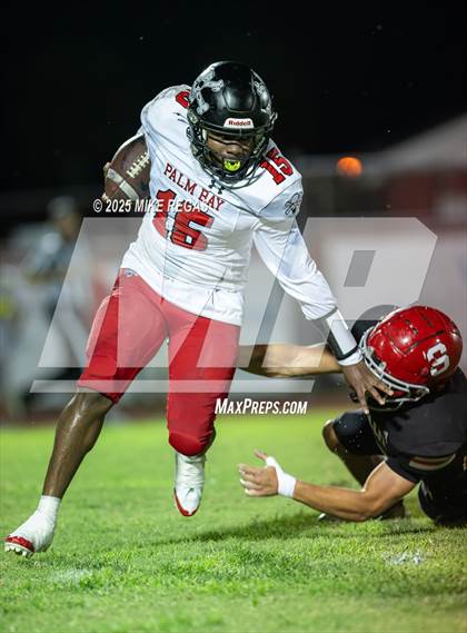 Thumbnail 3 in Palm Bay @ Satellite photogallery.