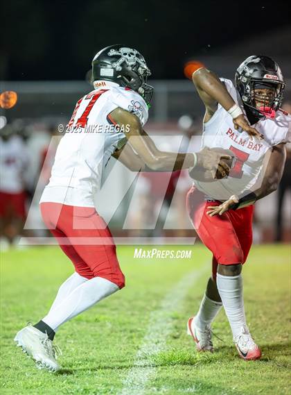 Thumbnail 2 in Palm Bay @ Satellite photogallery.