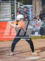 Photo from the gallery "Archie Williams @ Santa Rosa"