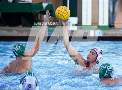 Thumbnail 3 in Las Lomas @ Miramonte photogallery.