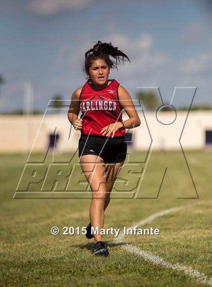 Thumbnail 1 in UIL 6A Cross Country Championships photogallery.