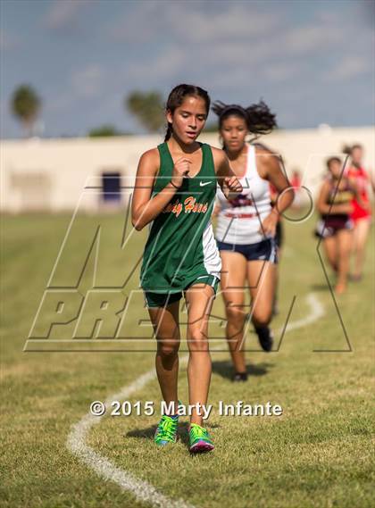 Thumbnail 3 in UIL 6A Cross Country Championships photogallery.