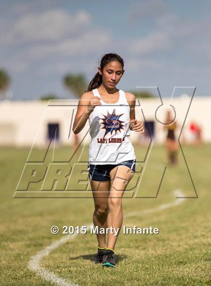 Thumbnail 1 in UIL 6A Cross Country Championships photogallery.