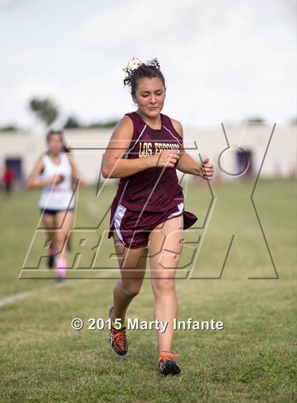 Thumbnail 1 in UIL 6A Cross Country Championships photogallery.