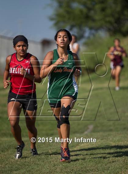 Thumbnail 3 in UIL 6A Cross Country Championships photogallery.