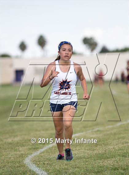 Thumbnail 3 in UIL 6A Cross Country Championships photogallery.