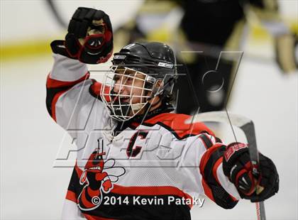 Thumbnail 2 in Trumbull @ Branford photogallery.