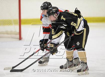 Thumbnail 2 in Trumbull @ Branford photogallery.