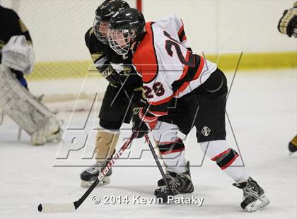 Thumbnail 2 in Trumbull @ Branford photogallery.