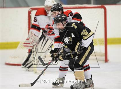 Thumbnail 1 in Trumbull @ Branford photogallery.