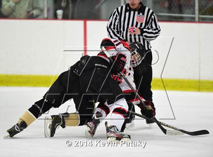 Thumbnail 3 in Trumbull @ Branford photogallery.