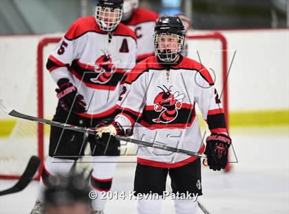 Thumbnail 1 in Trumbull @ Branford photogallery.