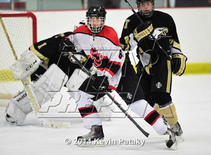 Thumbnail 1 in Trumbull @ Branford photogallery.