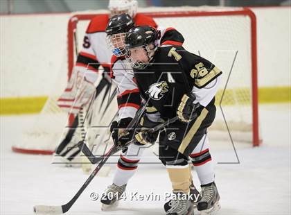 Thumbnail 2 in Trumbull @ Branford photogallery.