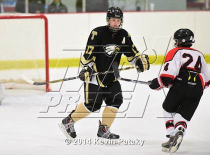 Thumbnail 2 in Trumbull @ Branford photogallery.
