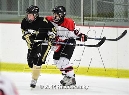 Thumbnail 2 in Trumbull @ Branford photogallery.