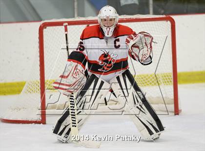 Thumbnail 1 in Trumbull @ Branford photogallery.