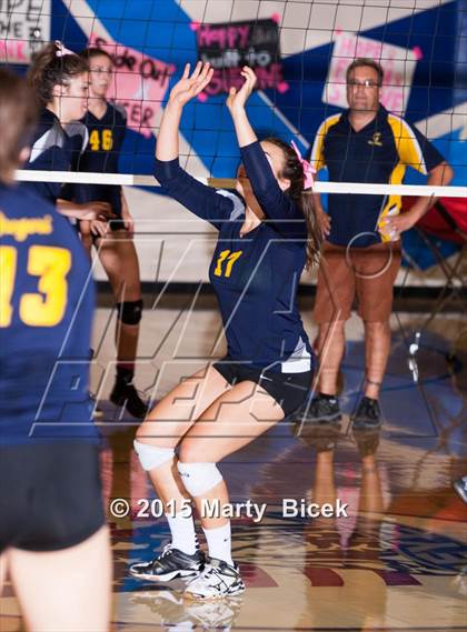 Thumbnail 1 in Beyer vs Gregori photogallery.