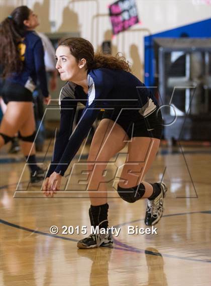 Thumbnail 1 in Beyer vs Gregori photogallery.