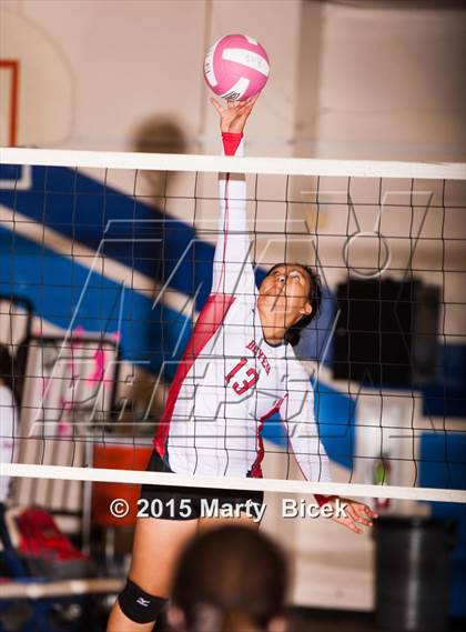 Thumbnail 1 in Beyer vs Gregori photogallery.