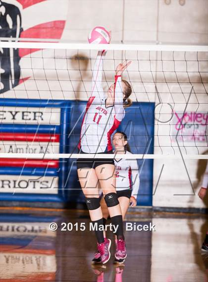 Thumbnail 3 in Beyer vs Gregori photogallery.
