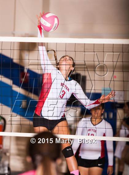 Thumbnail 1 in Beyer vs Gregori photogallery.