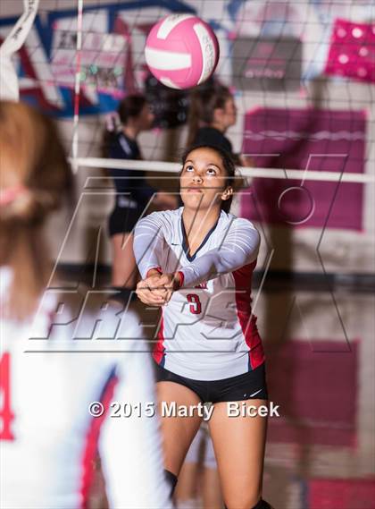 Thumbnail 2 in Beyer vs Gregori photogallery.