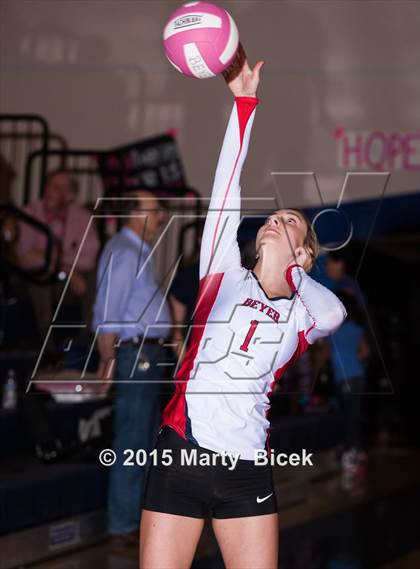 Thumbnail 3 in Beyer vs Gregori photogallery.