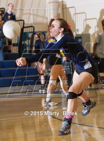 Thumbnail 2 in Beyer vs Gregori photogallery.