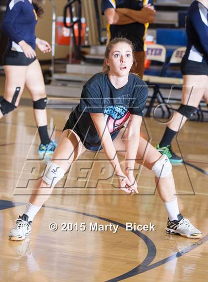 Thumbnail 2 in Beyer vs Gregori photogallery.