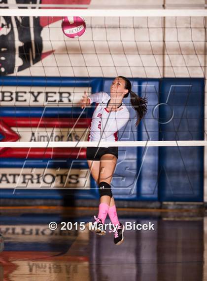 Thumbnail 3 in Beyer vs Gregori photogallery.