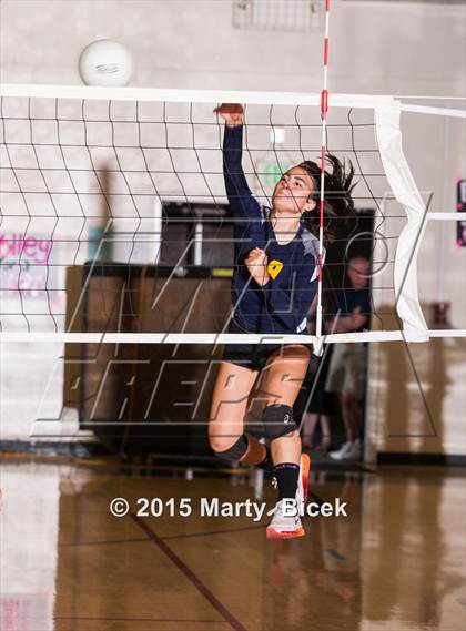 Thumbnail 1 in Beyer vs Gregori photogallery.
