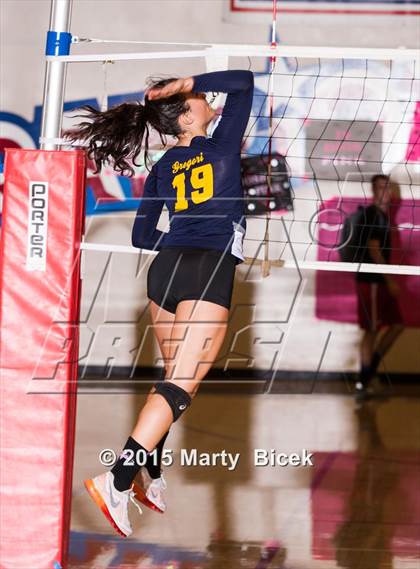 Thumbnail 1 in Beyer vs Gregori photogallery.