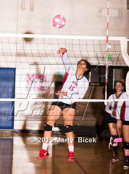 Thumbnail 1 in Beyer vs Gregori photogallery.