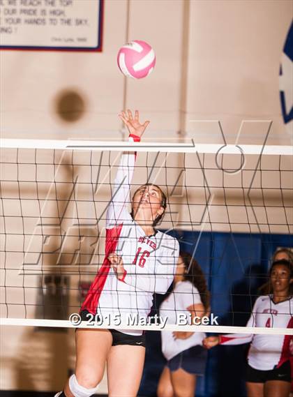 Thumbnail 2 in Beyer vs Gregori photogallery.