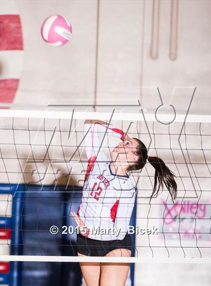 Thumbnail 1 in Beyer vs Gregori photogallery.