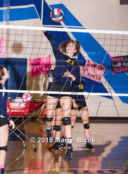 Thumbnail 2 in Beyer vs Gregori photogallery.