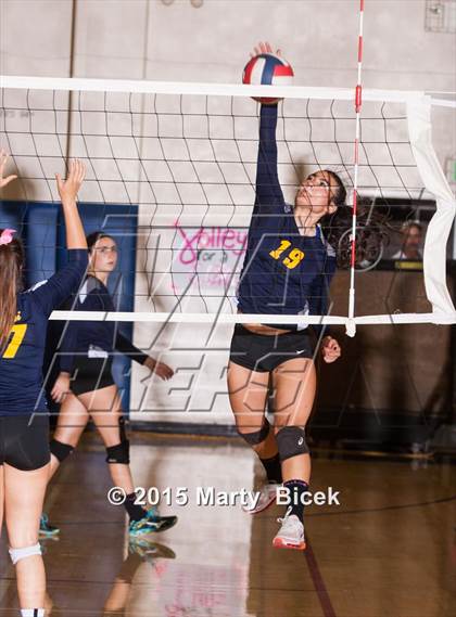 Thumbnail 3 in Beyer vs Gregori photogallery.