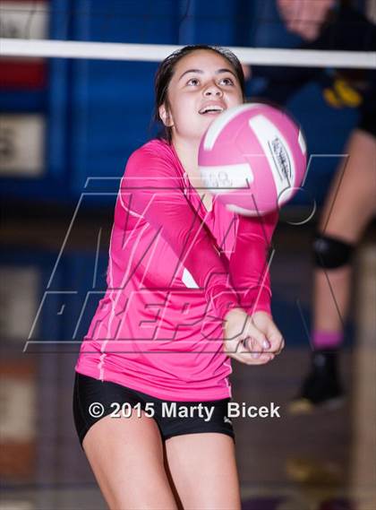 Thumbnail 2 in Beyer vs Gregori photogallery.