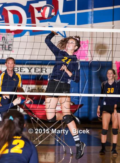 Thumbnail 3 in Beyer vs Gregori photogallery.