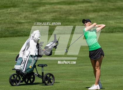 Thumbnail 1 in State Preview photogallery.